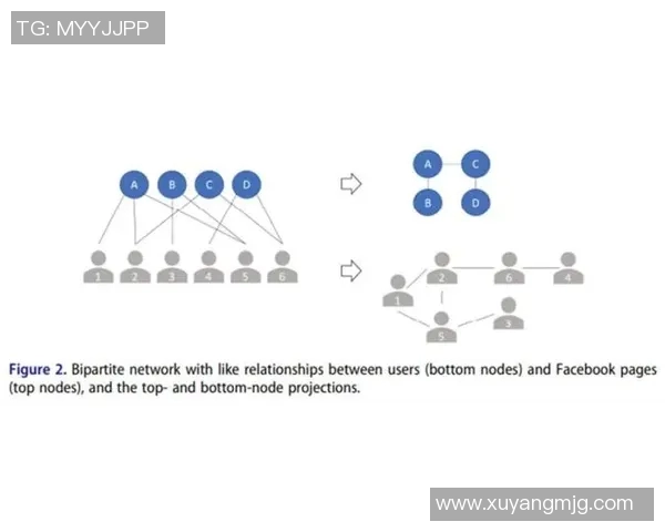 独家解析IG的意识形态差异与影响力对比分析 独家解析IG的意识形态差异与影响力对比分析