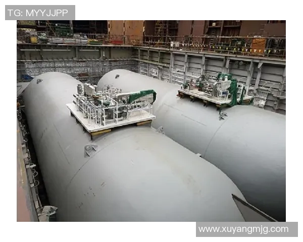 世界大师赛中LNG展现灵活性表现的深度分析与点评