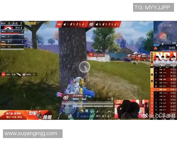 电竞新闻和平精英赛场上JDG心理素质引发热议分析与讨论